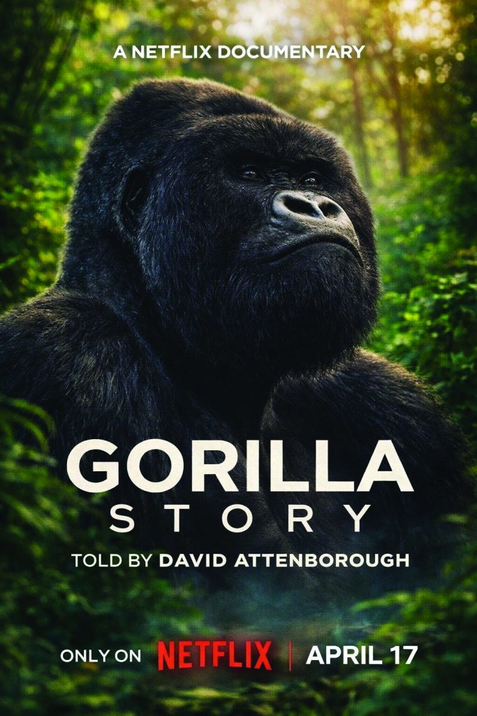 A Gorilla Story